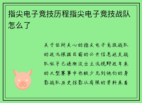 指尖电子竞技历程指尖电子竞技战队怎么了