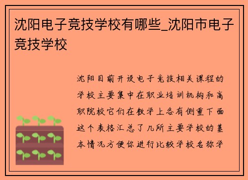 沈阳电子竞技学校有哪些_沈阳市电子竞技学校